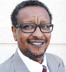 Prof. Dr. CEng. Isam Mohammed Abdel-Magid Ahmed